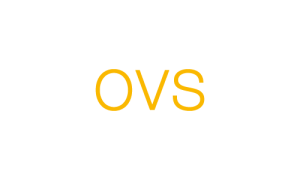 OVS@2x